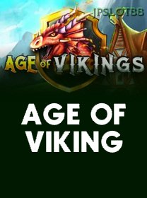 Age Of Viking game cover